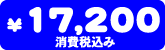 17,200円(消費税込み)