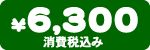 i@6,300~iō݁j